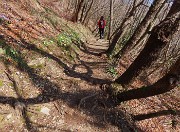 14 Il sentiero corre nel bosco di bei carpini neri